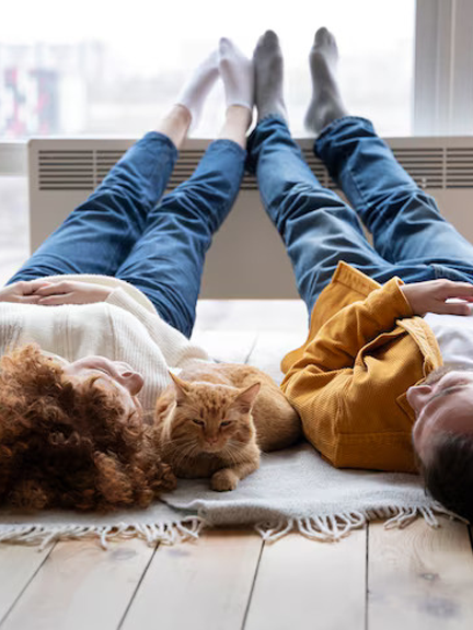 daikin-room-cat
