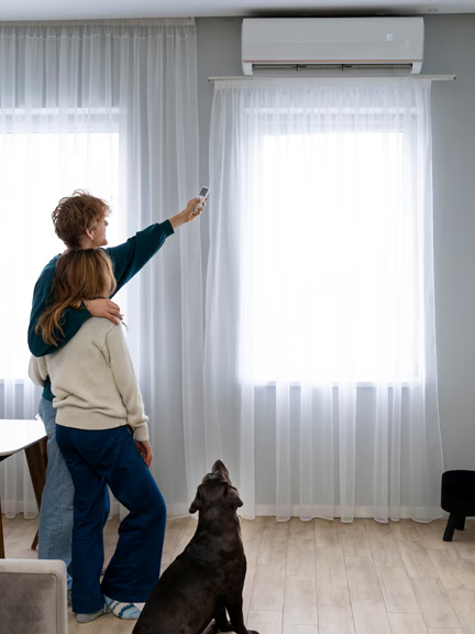 daikin-room-dog